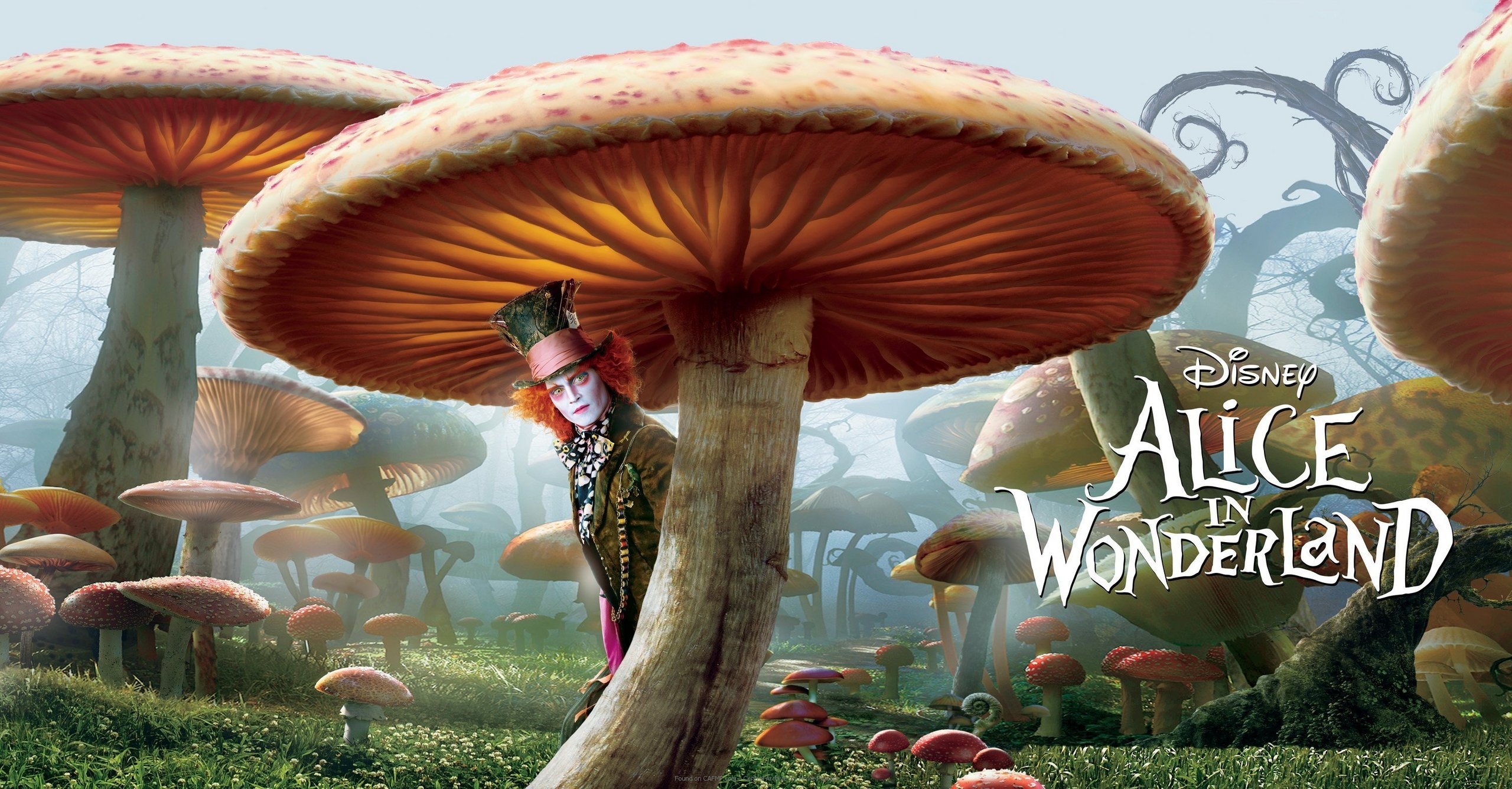 Alice-in-Wonderland-Mushroom-Banner.jpg